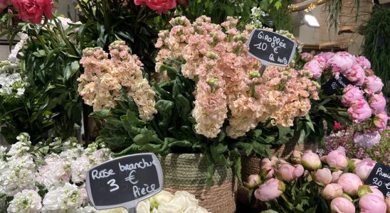 Mothers Day florists and growers facing the challenge of the