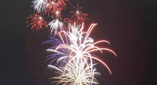 Music food fun for kids and fireworks to help Forest