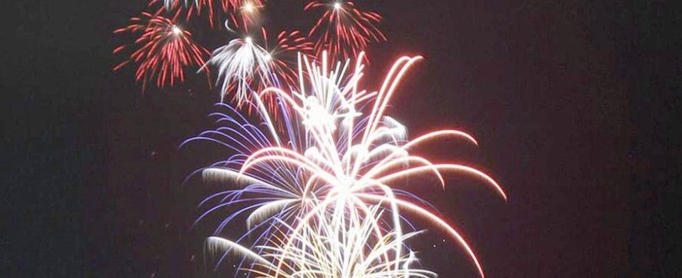 Music food fun for kids and fireworks to help Forest