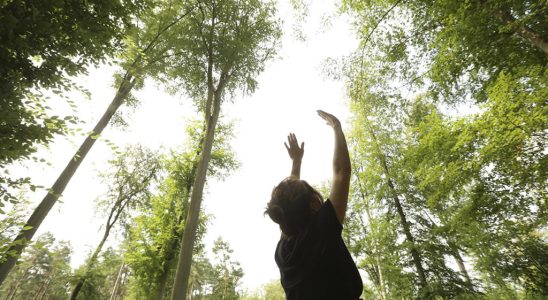 Near Compiegne a 31st edition for musical forest baths