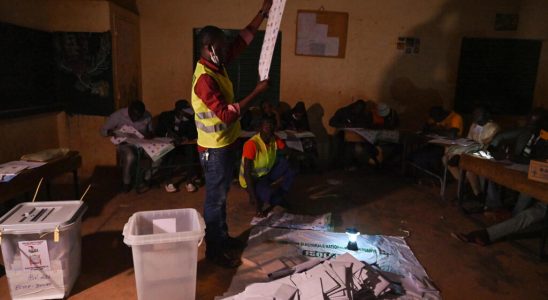 Nigeriens in the diaspora elect their deputies more than two