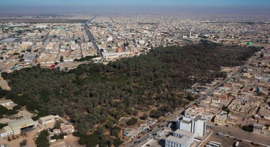 Oumar Diop buried in Nouakchott after the conclusions of the