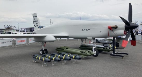 Paris Air Show drone madness