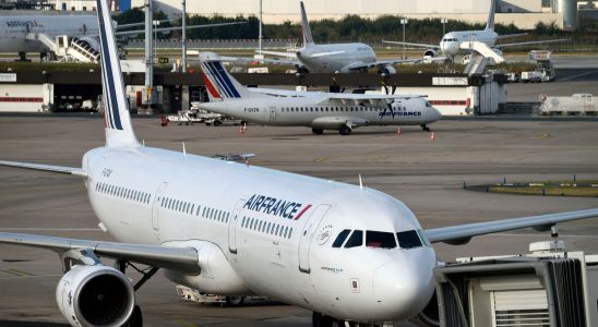 Paris Air Show what the French think of the plane