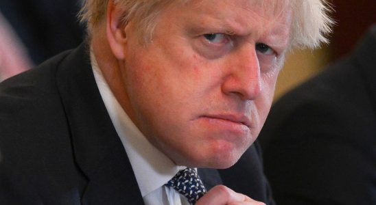 Partygate MPs validate damning report against Boris Johnson