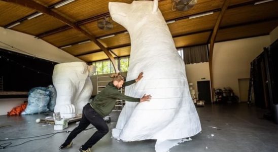 Pissing Polar Bear comes ashore in Amersfoort