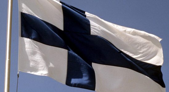 Political scientist The Finnish government could crack