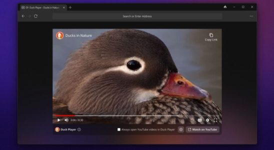 Privacy focused browser DuckDuckGo is also out for Windows