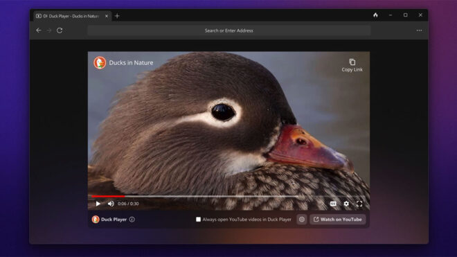 Privacy focused browser DuckDuckGo is also out for Windows