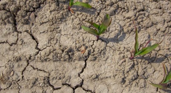 Record it has never been dry in De Bilt for