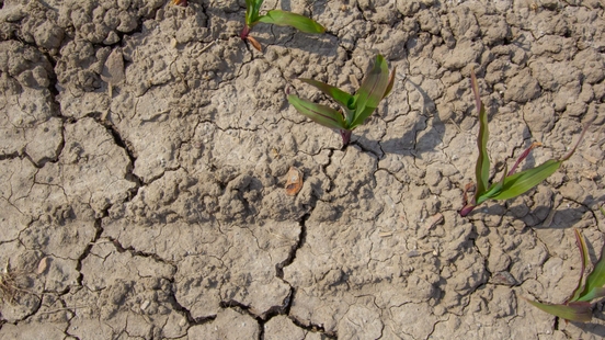 Record it has never been dry in De Bilt for