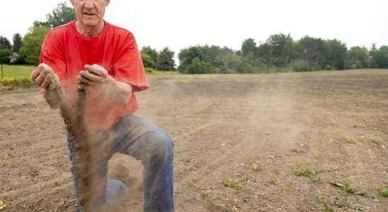 Record setting dry spell leaves Southwestern Ontario farmers waiting and waiting