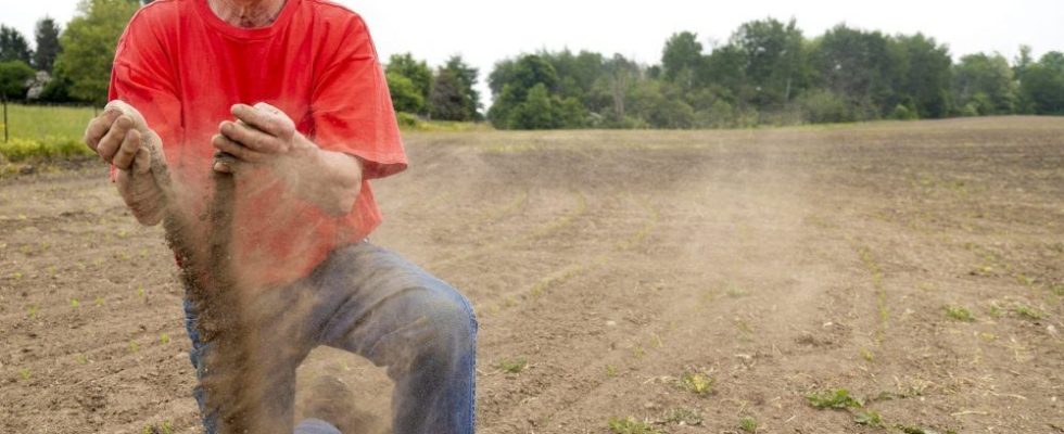 Record setting dry spell leaves Southwestern Ontario farmers waiting and waiting