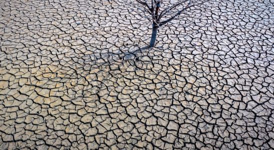 Record warm spring in Spain