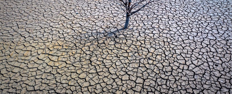 Record warm spring in Spain