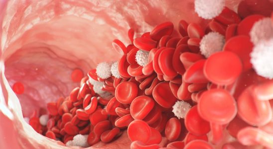 Red blood cells erythrocytes rate too high or too low