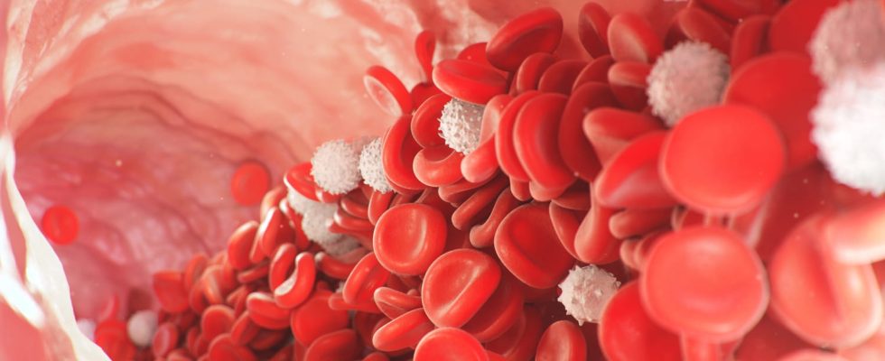 Red blood cells erythrocytes rate too high or too low