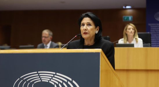 Salome Zurabishvili Russia will not seek to regain in Georgia