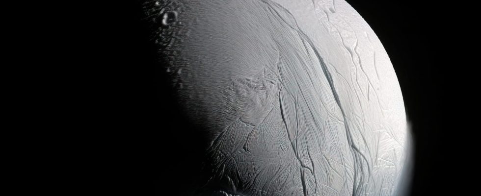 Saturns icy moon Enceladus contains all the essentials for life