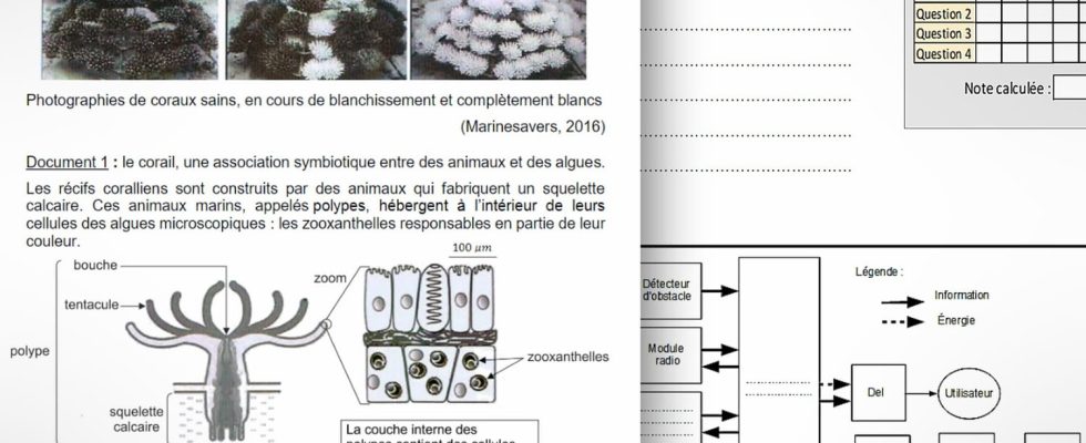 Science subject for patent 2023 annals and practical information