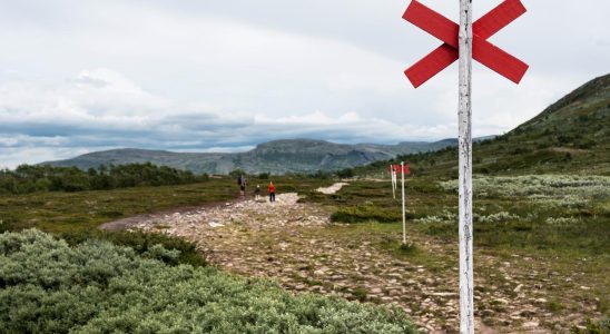 So you can hike safely in the mountains this summer