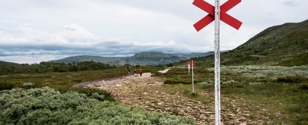 So you can hike safely in the mountains this summer