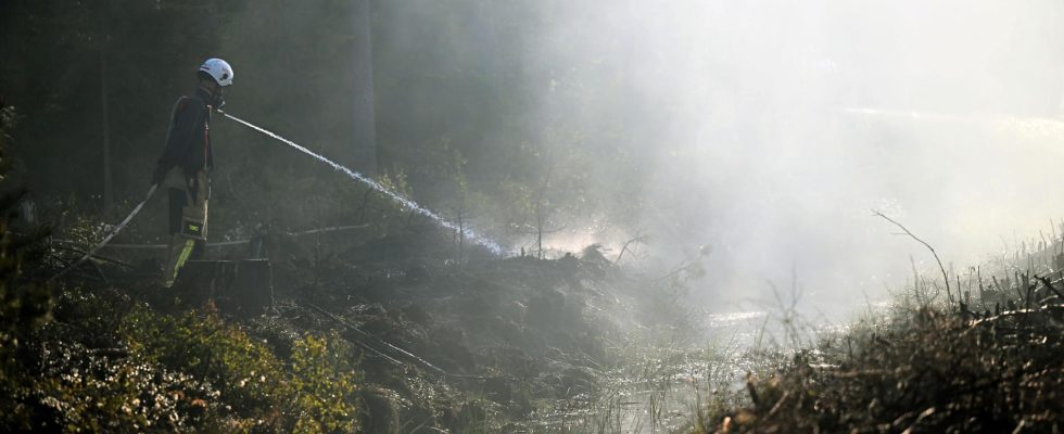 Space forest rangers look for fires this summer