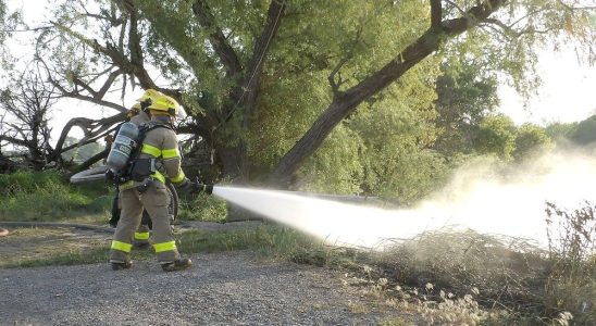 Spike in brush fires prompts call for extreme caution from