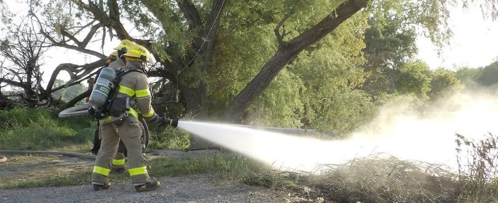 Spike in brush fires prompts call for extreme caution from