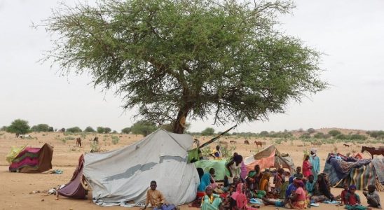 Sudanese refugees in Chad UNHCR describes alarming situation