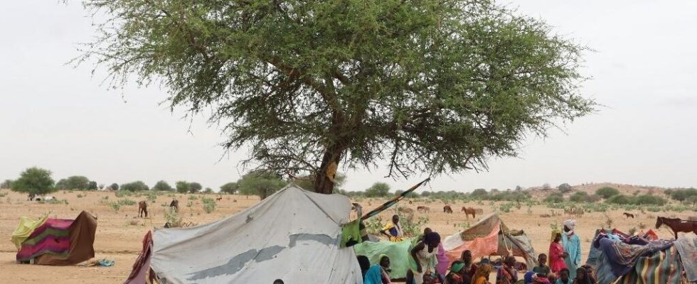 Sudanese refugees in Chad UNHCR describes alarming situation