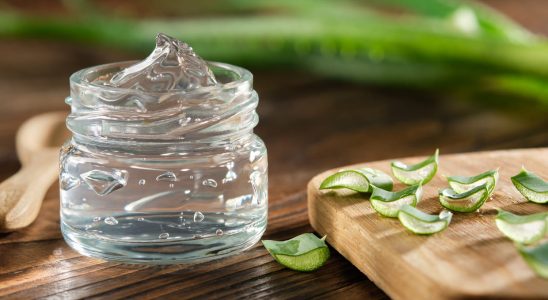 Sunburn mosquito bite how to use aloe vera gel