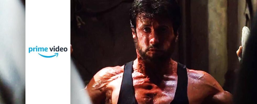 Sweaty action starring Sylvester Stallone who almost lost his life