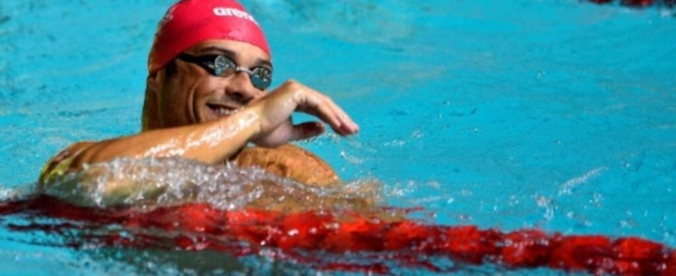 Swimming Florent Manaudou signs the best world performance of the