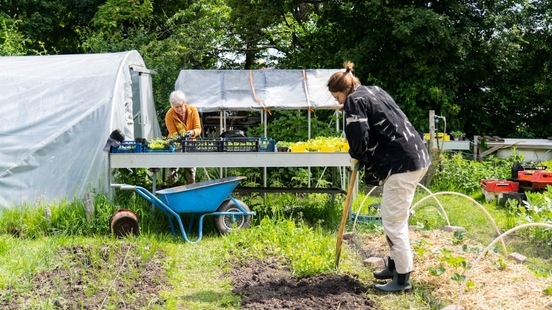 Ten years of social gardening in Transwijk Utrechters find support