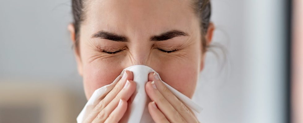 The 5 symptoms of allergic rhinitis