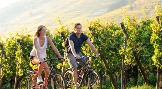 The Alsace Wine Route ChatGPT in winegrower mode The tour