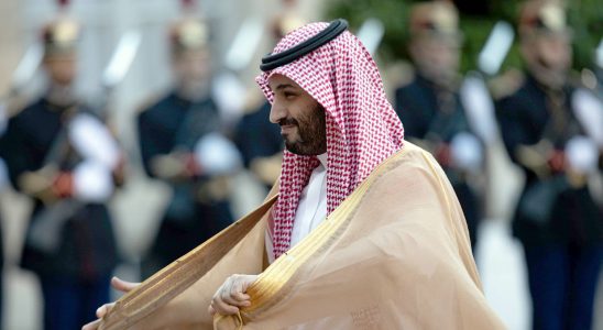 The Saudis 600 billion plan to dominate the world after