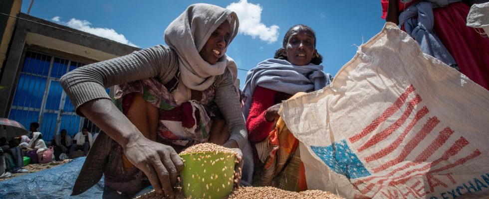 The US stops all food aid to Ethiopia