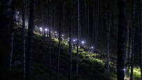 The demanding courses of Jukola tested the orienteers this