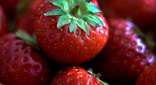 The police Chaos at strawberry sales