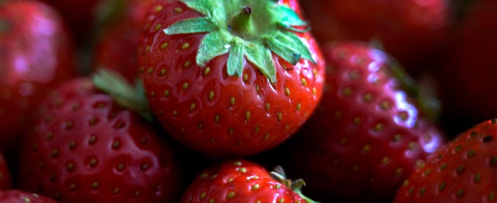 The police Chaos at strawberry sales