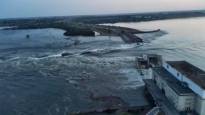 The water that flowed from the destroyed Kahovka dam spread