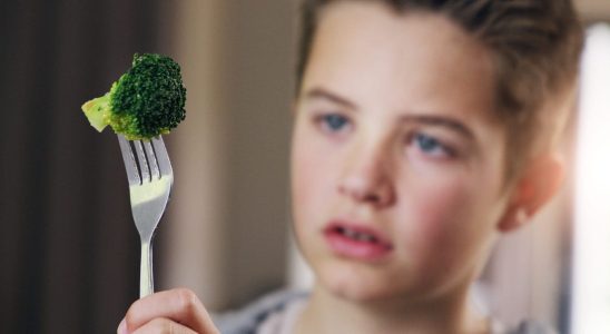 These toxic phrases not to say to children at mealtime