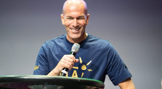 This surprising investment by Zinedine Zidane brings him half a