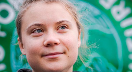 Thunberg supports suspended French climate group