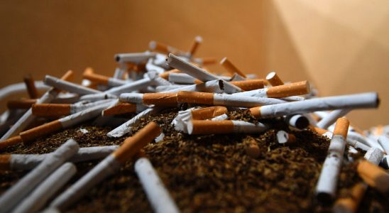 Tobacco how France can avoid 4 million chronically ill people