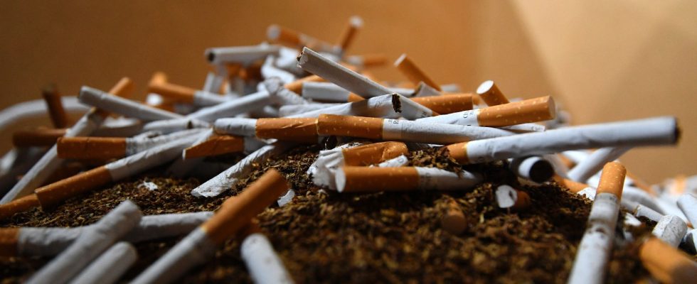 Tobacco how France can avoid 4 million chronically ill people