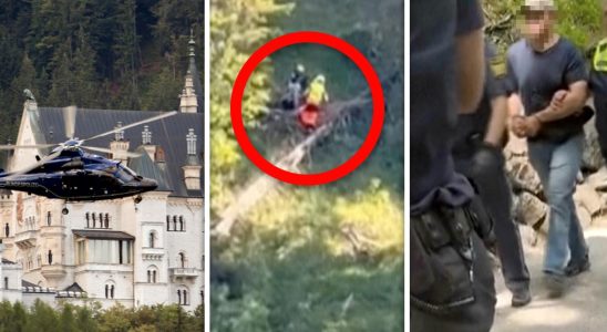 Tourists pushed down the 50 meter cliff at Neuschwanstein Castle