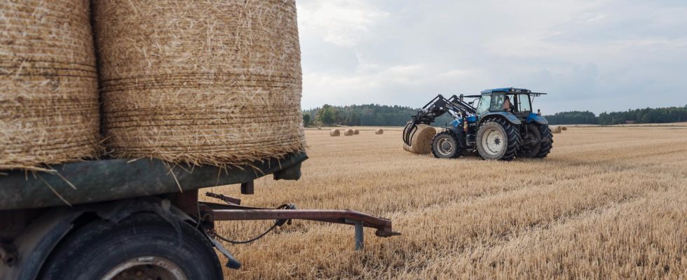 Tractor biggest risk for children